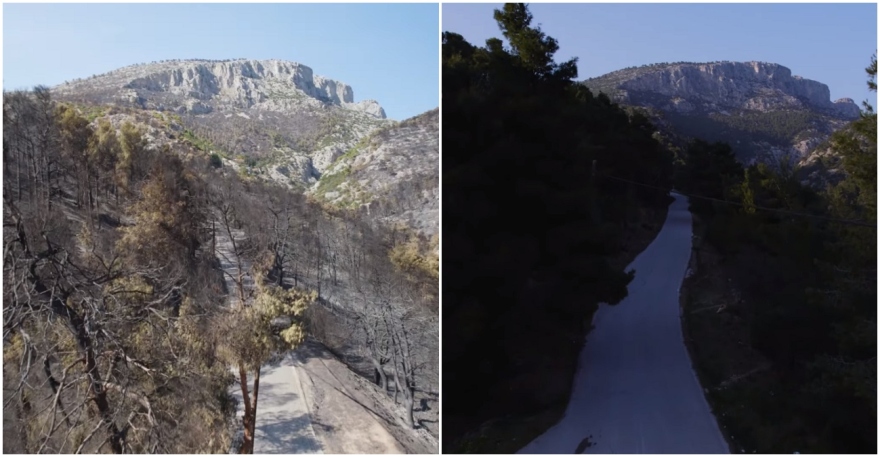 Φυλή: Το πριν και το μετά της μεγάλης καταστροφής από την πυρκαγιά – Δείτε βίντεο από drone