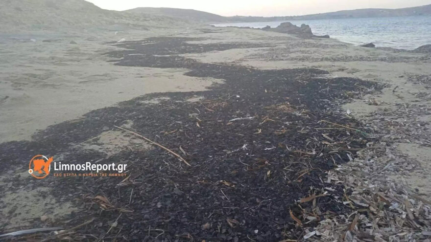 Φωτιά στον Έβρο: Αποκαΐδια έφτασαν σε παραλία της Λήμνου