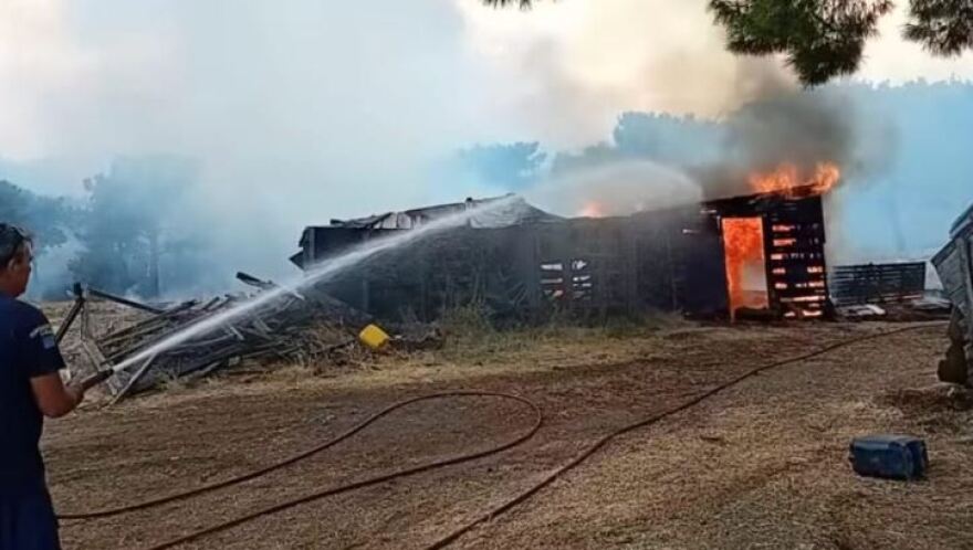 Φωτιά στον Έβρο: Μήνυμα από το 112 στη Λευκίμμη - «Παραμείνετε σε ετοιμότητα»