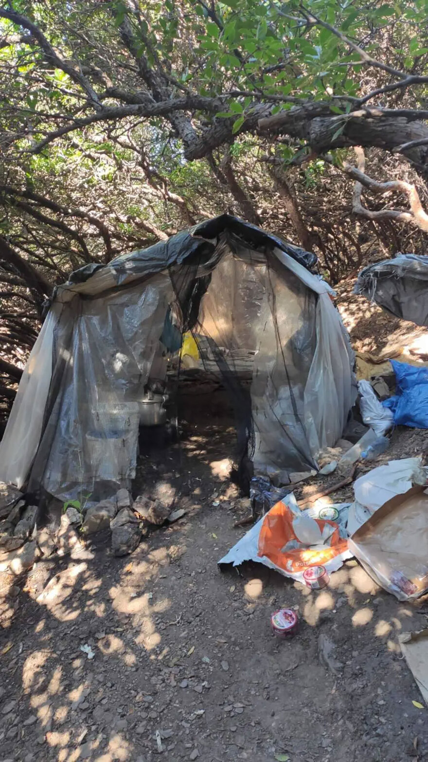 Αλβανός καλλιεργούσε τρεις φυτείες με 760 χασισόδεντρα στα Χανιά