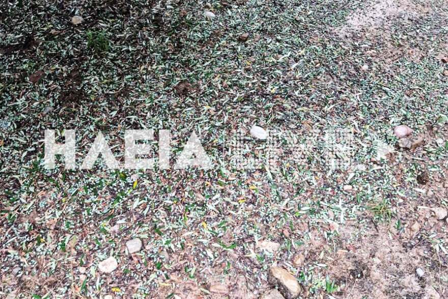 Κακοκαιρία «Daniel»: Προβλήματα σε πολλές περιοχές - Δείτε που θα «χτυπήσει» τις επόμενες ώρες