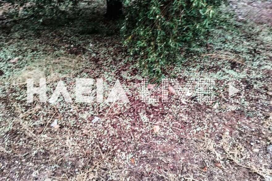 Κακοκαιρία «Daniel»: Προβλήματα σε πολλές περιοχές - Δείτε που θα «χτυπήσει» τις επόμενες ώρες