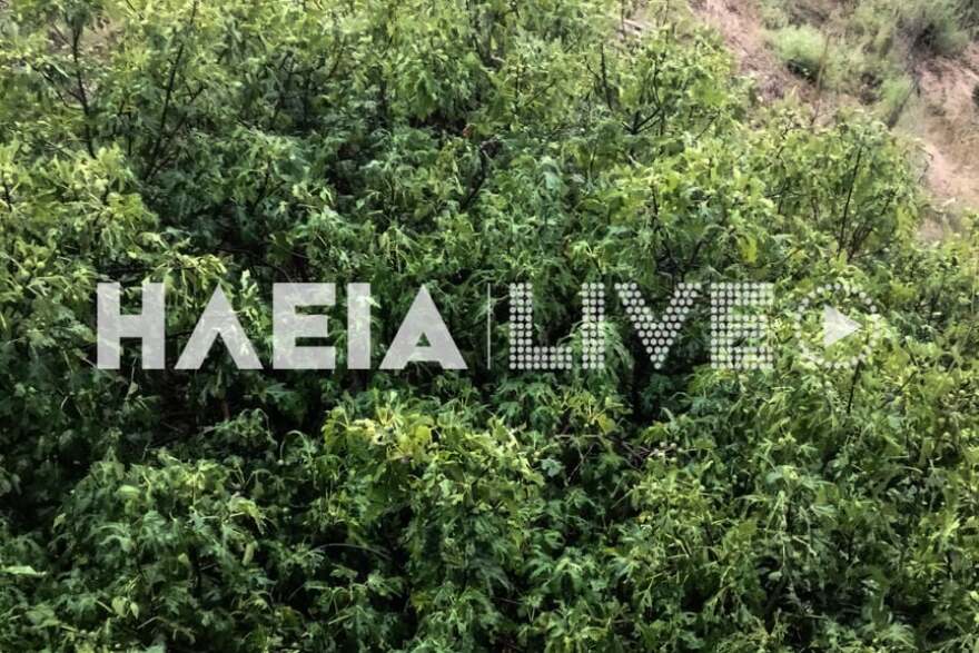 Κακοκαιρία «Daniel»: Προβλήματα σε πολλές περιοχές - Δείτε που θα «χτυπήσει» τις επόμενες ώρες