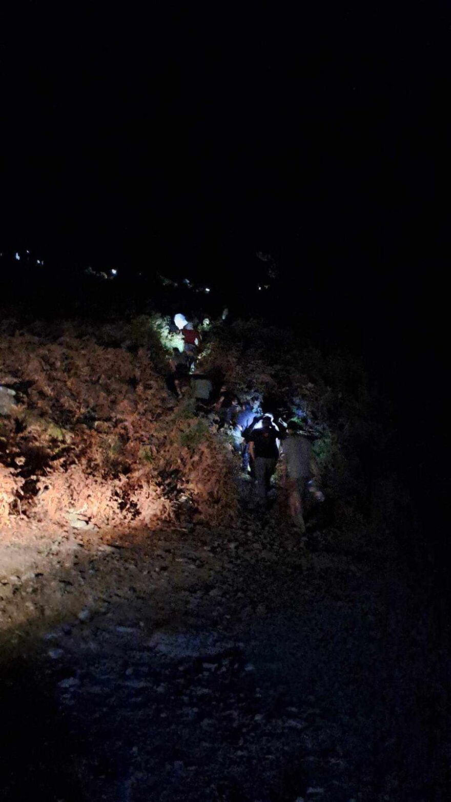 Φωτιά σε δασική έκταση στη Σαμοθράκη - Δείτε βίντεο και φωτογραφίες