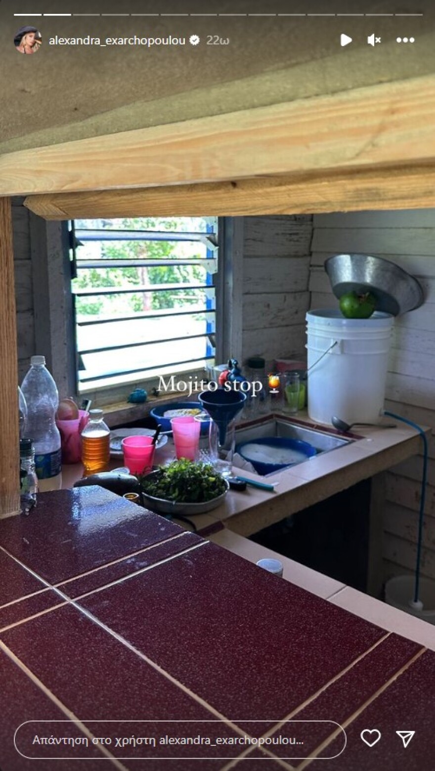 Ηλίας Μπόγδανος – Αλεξάνδρα Εξαρχοπούλου: Το ταξίδι του ζευγαριού στην Κούβα