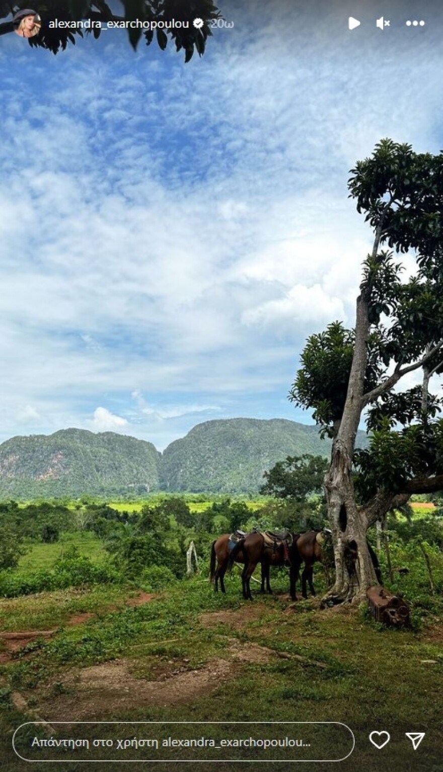 Ηλίας Μπόγδανος – Αλεξάνδρα Εξαρχοπούλου: Το ταξίδι του ζευγαριού στην Κούβα