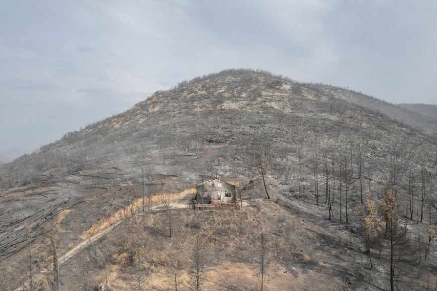 Φωτιά στον Έβρo: Σώθηκε ο αρχαίος ελαιώνας της Μάκρης, καταστράφηκε το δάσος της Κίρκης - Φωτογραφίες 
