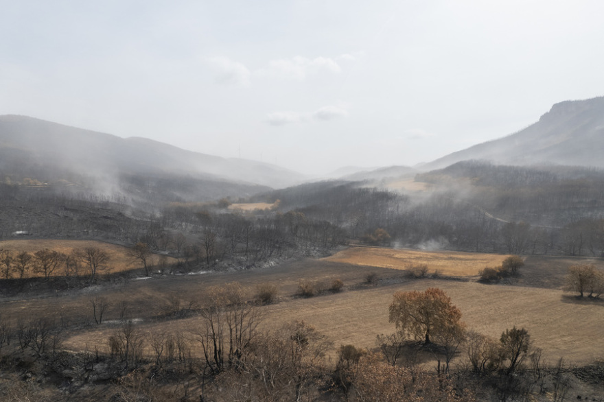 Φωτιά στον Έβρo: Σώθηκε ο αρχαίος ελαιώνας της Μάκρης, καταστράφηκε το δάσος της Κίρκης - Φωτογραφίες 