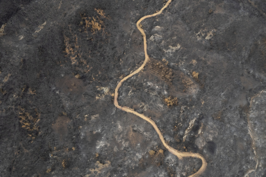 Φωτιά στον Έβρo: Σώθηκε ο αρχαίος ελαιώνας της Μάκρης, καταστράφηκε το δάσος της Κίρκης - Φωτογραφίες 