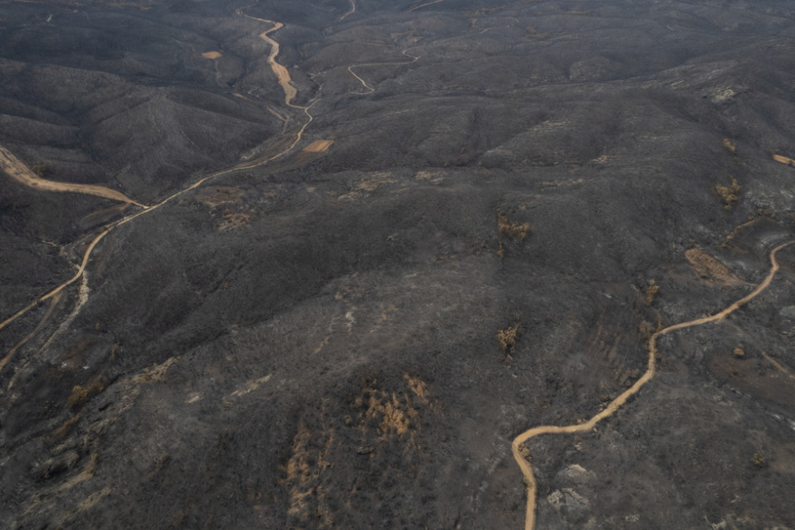 Φωτιά στον Έβρo: Σώθηκε ο αρχαίος ελαιώνας της Μάκρης, καταστράφηκε το δάσος της Κίρκης - Φωτογραφίες 