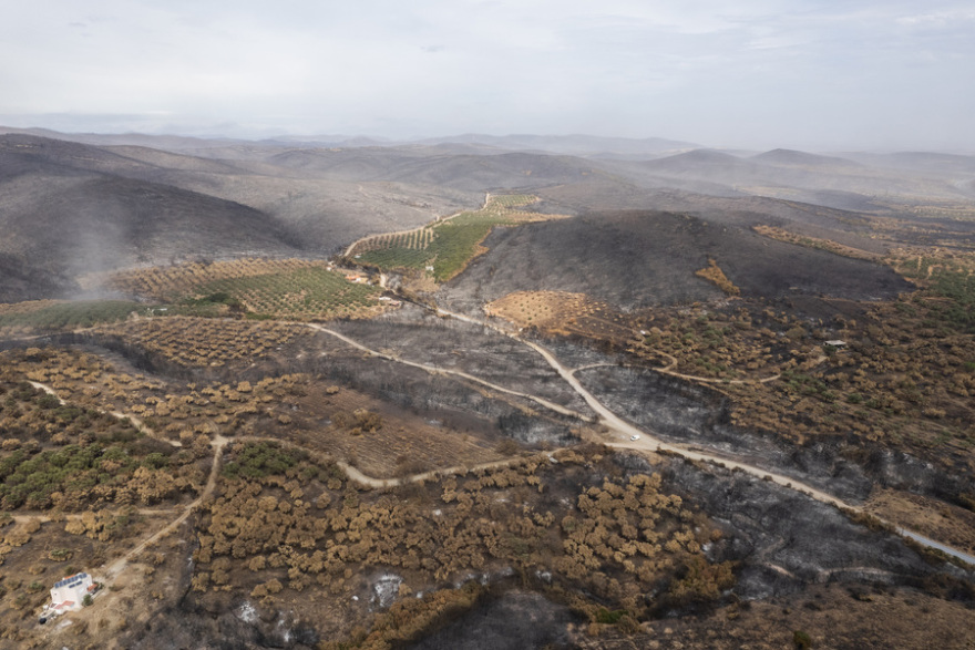 Φωτιά στον Έβρo: Σώθηκε ο αρχαίος ελαιώνας της Μάκρης, καταστράφηκε το δάσος της Κίρκης - Φωτογραφίες 