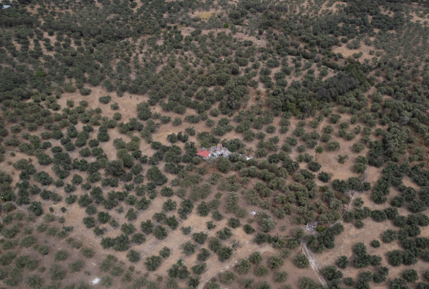 Φωτιά στον Έβρo: Σώθηκε ο αρχαίος ελαιώνας της Μάκρης, καταστράφηκε το δάσος της Κίρκης - Φωτογραφίες 
