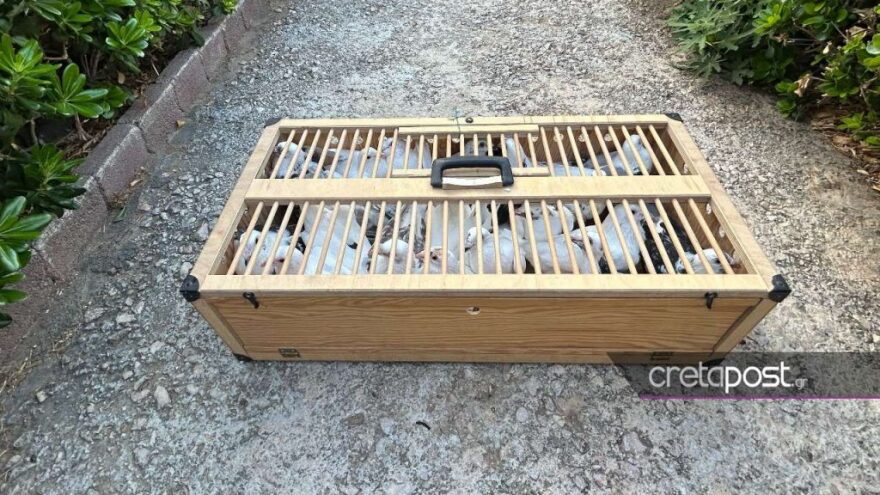 Ηράκλειο: Με καθυστέρηση περίπου έξι ωρών απέπλευσε το Blue Horizon λόγω διαμαρτυρίας για το θάνατο του 36χρονου