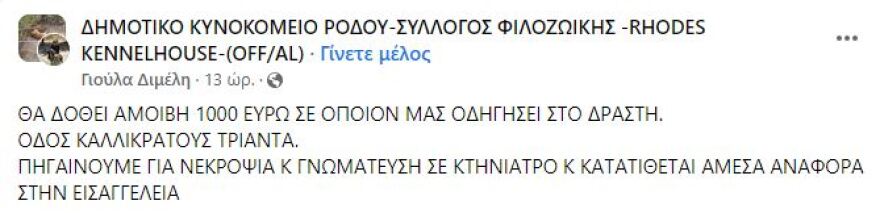 Ρόδος: Άγνωστος τεμάχισε γατάκι - Τον «επικήρυξαν» για 1.000 ευρώ