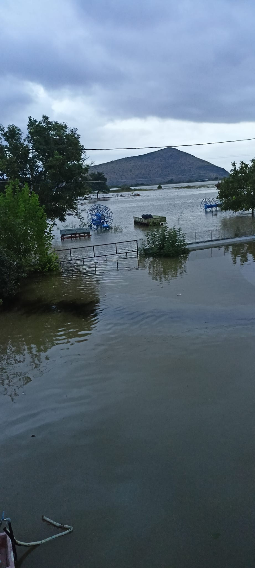 Μαραθέα Καρδίτσας: Δραματική έκκληση για 15 εγκλωβισμένους - Ανεβαίνουν τα νερά αλλά και τα φίδια!