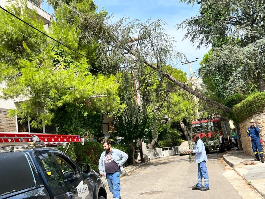 Διακοπές ρεύματος στα βόρεια προάστια από πτώσεις δέντρων σε καλώδια – Δείτε φωτογραφίες