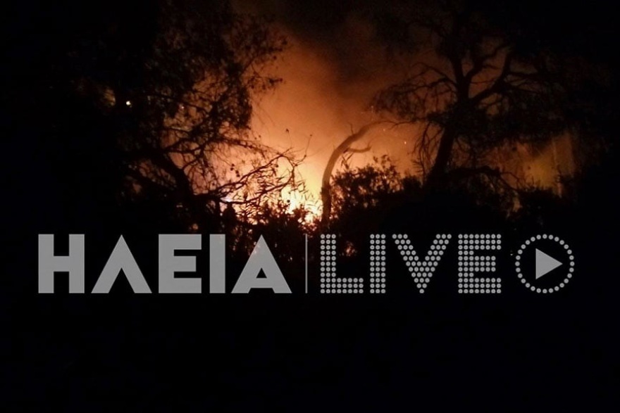 Θρίλερ στα Λεχαινά: 46χρονος επιχειρηματίας βρέθηκε απανθρακωμένος δίπλα στο φλεγόμενο τζιπ του