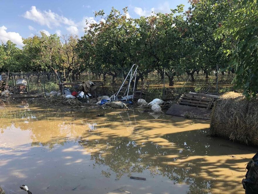 Κακοκαιρία Daniel: Μαζεύουν πάνω από 2.600 νεκρά ζώα σε Καρδίτσα, Ριζόμυλο και Στεφανοβίκειο (φωτογραφίες)