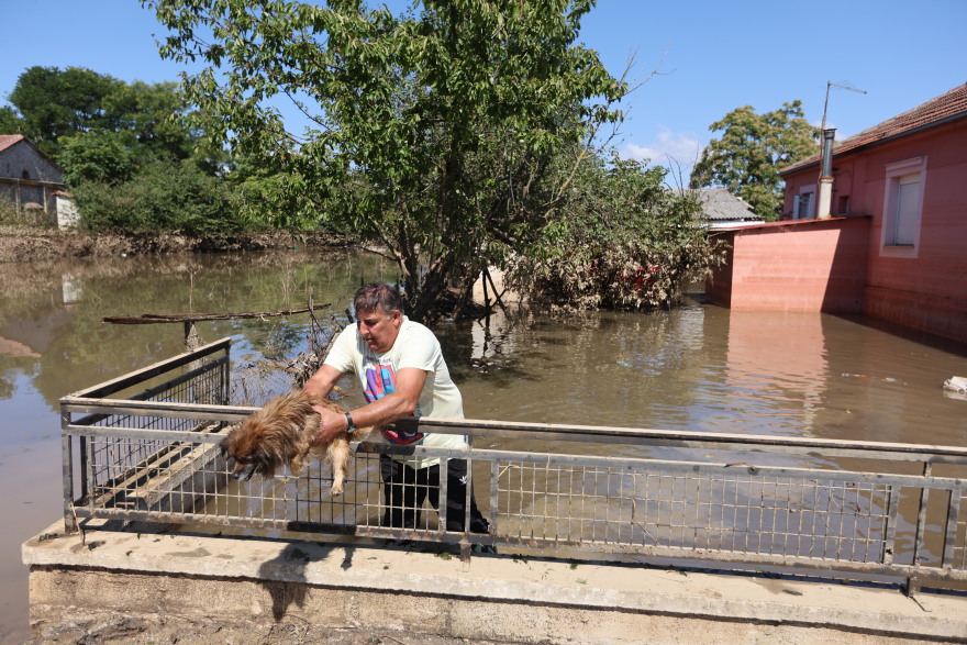 Κακοκαιρία Daniel: Αποκαρδιωτικές εικόνες από τον θεσσαλικό κάμπο - Μία βδομάδα στα λασπόνερα
