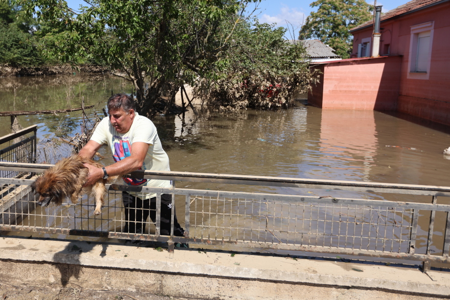 Κακοκαιρία Daniel: Αποκαρδιωτικές εικόνες από τον θεσσαλικό κάμπο - Μία βδομάδα στα λασπόνερα