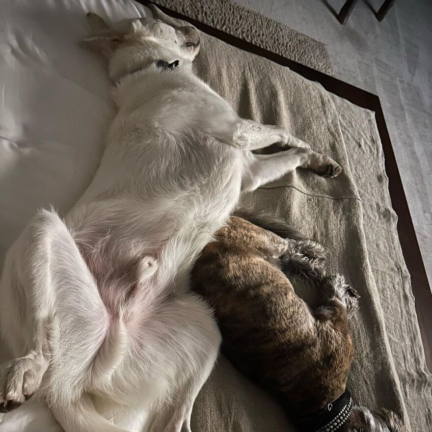 Τζένιφερ Άνιστον: Κάνει διακοπές μαζί με τον Τζίμι Κίμελ και τον Τζέισον Μπέιτμαν