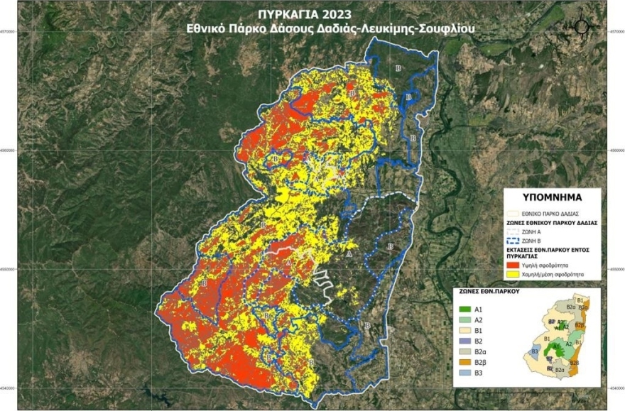 Δαδιά: Το 23% του δάσους έχει υποστεί σοβαρές καταστροφές – Άκαυτο το 42%