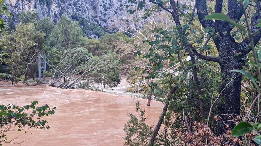 Η άνοιξη ήρθε πολύ νωρίς φέτος και αυτό δεν είναι καλό - Οι επιπτώσεις του σύντομου χειμώνα