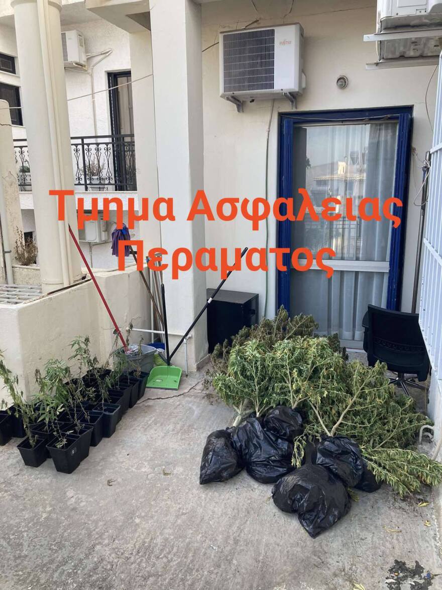 Πέραμα: Το ενδοοικογενειακό επεισόδιο πατέρα - γιου «αποκάλυψε» φυτεία κάνναβης