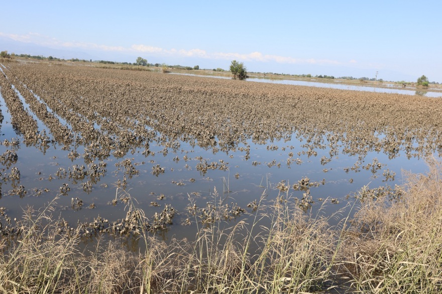 Κακοκαιρία Daniel: Πλημμυρισμένος ακόμα ο θεσσαλικός κάμπος - Απρόβλεπτη η εξέλιξη της αποστράγγισης