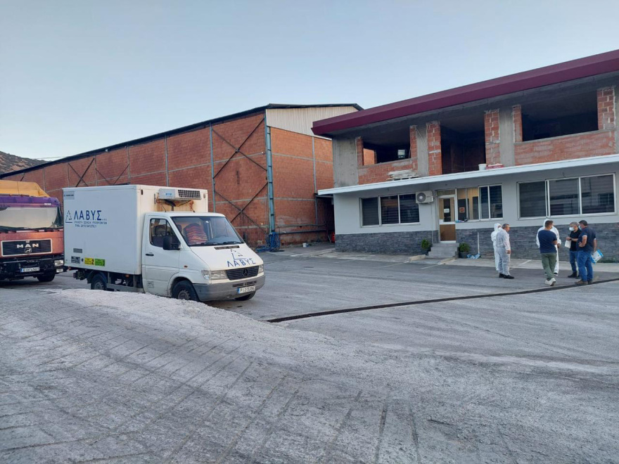 Κακοκαιρία Daniel: Πάνω από 110.000 ζώα χάθηκαν στις πλημμύρες στη Θεσσαλία