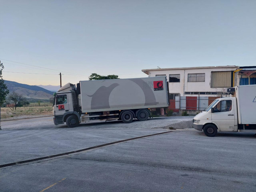 Κακοκαιρία Daniel: Πάνω από 110.000 ζώα χάθηκαν στις πλημμύρες στη Θεσσαλία