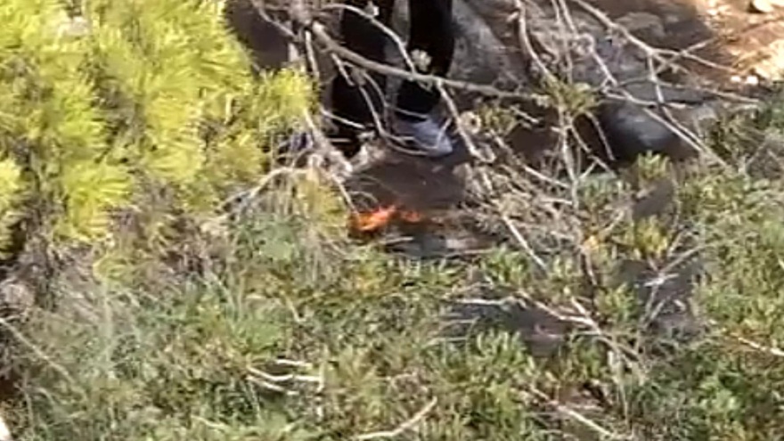 Βάρκιζα: Ανήλικοι προσπάθησαν να βάλουν φωτιά - Βίντεο και φωτογραφίες