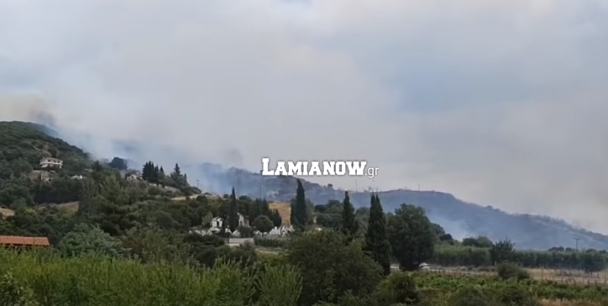 Φωτιά σε δασική έκταση στη Δίβρη Φθιώτιδας