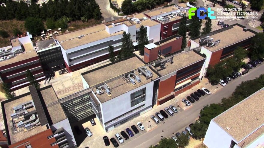 Τραγωδία στην Πορτογαλία: Πέθανε 10 μηνών κοριτσάκι που ο καθηγητής πατέρας του ξέχασε στο αυτοκίνητο