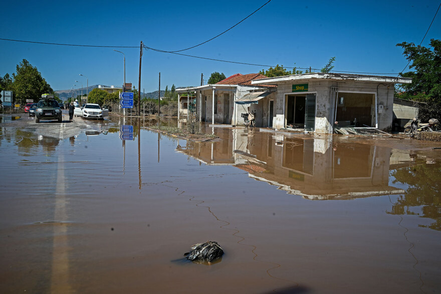 Κακοκαιρία «Daniel»: Νεκρά ζώα παντού στη Θεσσαλία - Μπήκε και ο στρατός στη «μάχη» της περισυλλογής - Δείτε φωτογραφίες