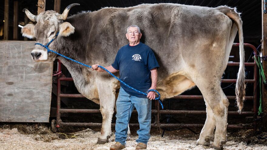 Ρεκόρ Γκίνες: Η μεγαλύτερη αφάνα, ο πιο μεγάλος ταύρος, τα περισσότερα φλεγόμενα χούλα χουπ και η 73χρονη Ninja Warrior
