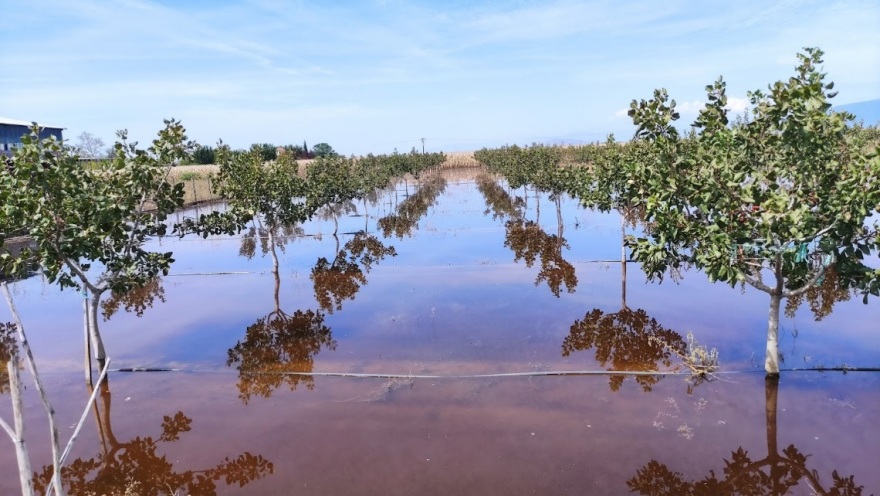Κακοκαιρία «Daniel»: Δειγματοληψίες από εργαστήριο του ΕΛΓΟ «Δήμητρα» σε αγρούς της Λάρισας - Δείτε φωτογραφίες
