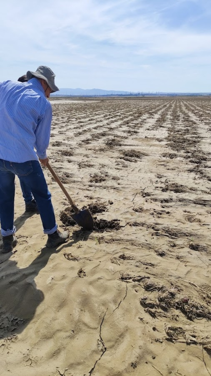 Κακοκαιρία «Daniel»: Δειγματοληψίες από εργαστήριο του ΕΛΓΟ «Δήμητρα» σε αγρούς της Λάρισας - Δείτε φωτογραφίες