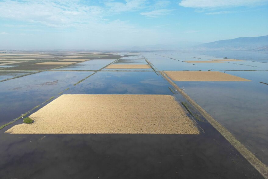 Θεσσαλία: «Λίμνη» οι αγροτικές εκτάσεις γύρω από το Αχίλλειο δίπλα στη λίμνη Κάρλα