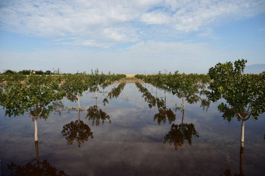 Θεσσαλία: «Λίμνη» οι αγροτικές εκτάσεις γύρω από το Αχίλλειο δίπλα στη λίμνη Κάρλα