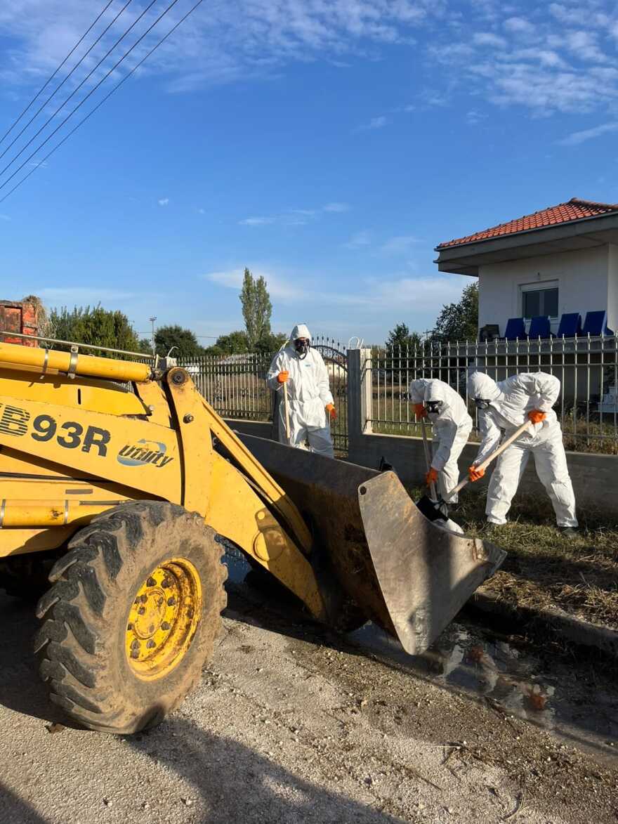 Ένοπλες Δυνάμεις: Δείτε τη «μάχη» του στρατού για να μαζέψει τα νεκρά ζώα - Σχολαστική η απολύμανση