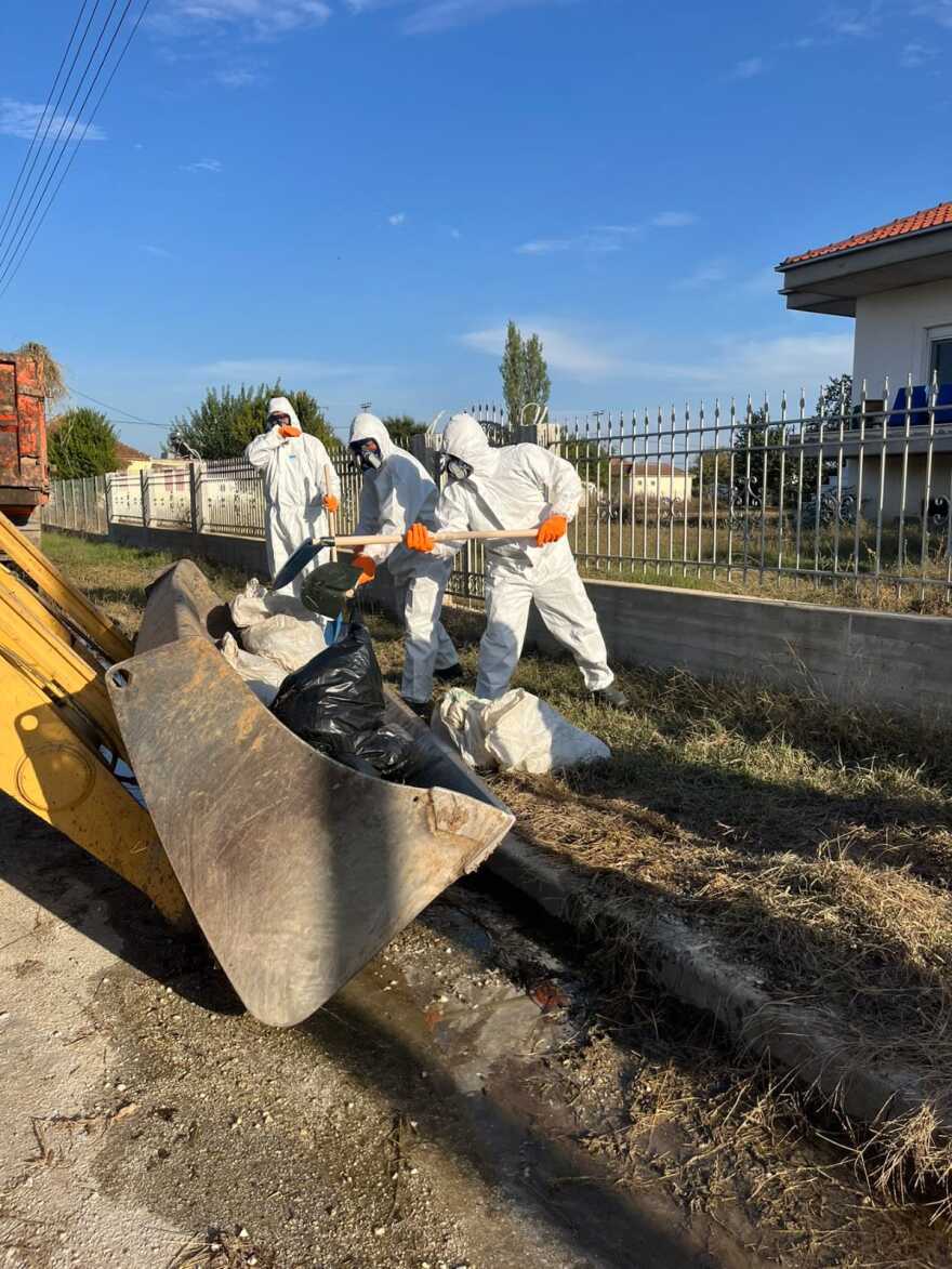 Ένοπλες Δυνάμεις: Δείτε τη «μάχη» του στρατού για να μαζέψει τα νεκρά ζώα - Σχολαστική η απολύμανση