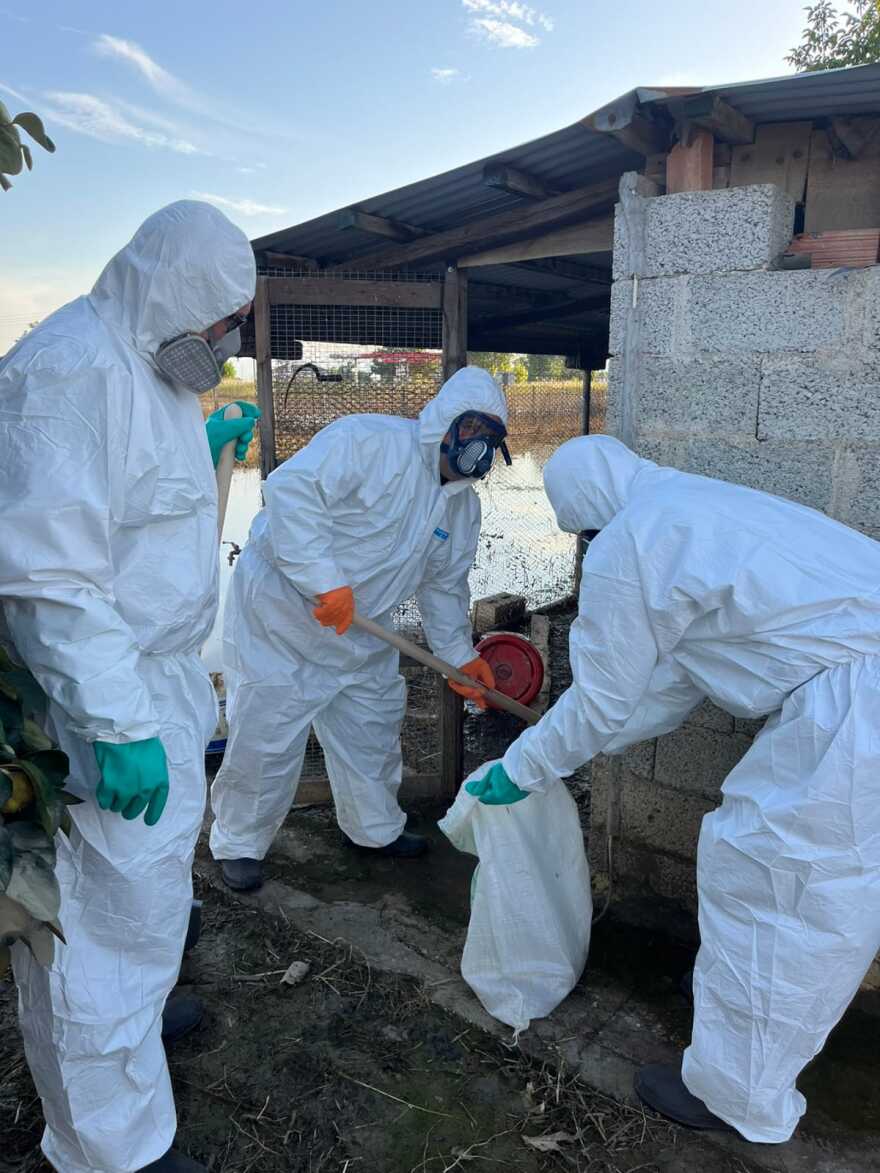 Ένοπλες Δυνάμεις: Δείτε τη «μάχη» του στρατού για να μαζέψει τα νεκρά ζώα - Σχολαστική η απολύμανση