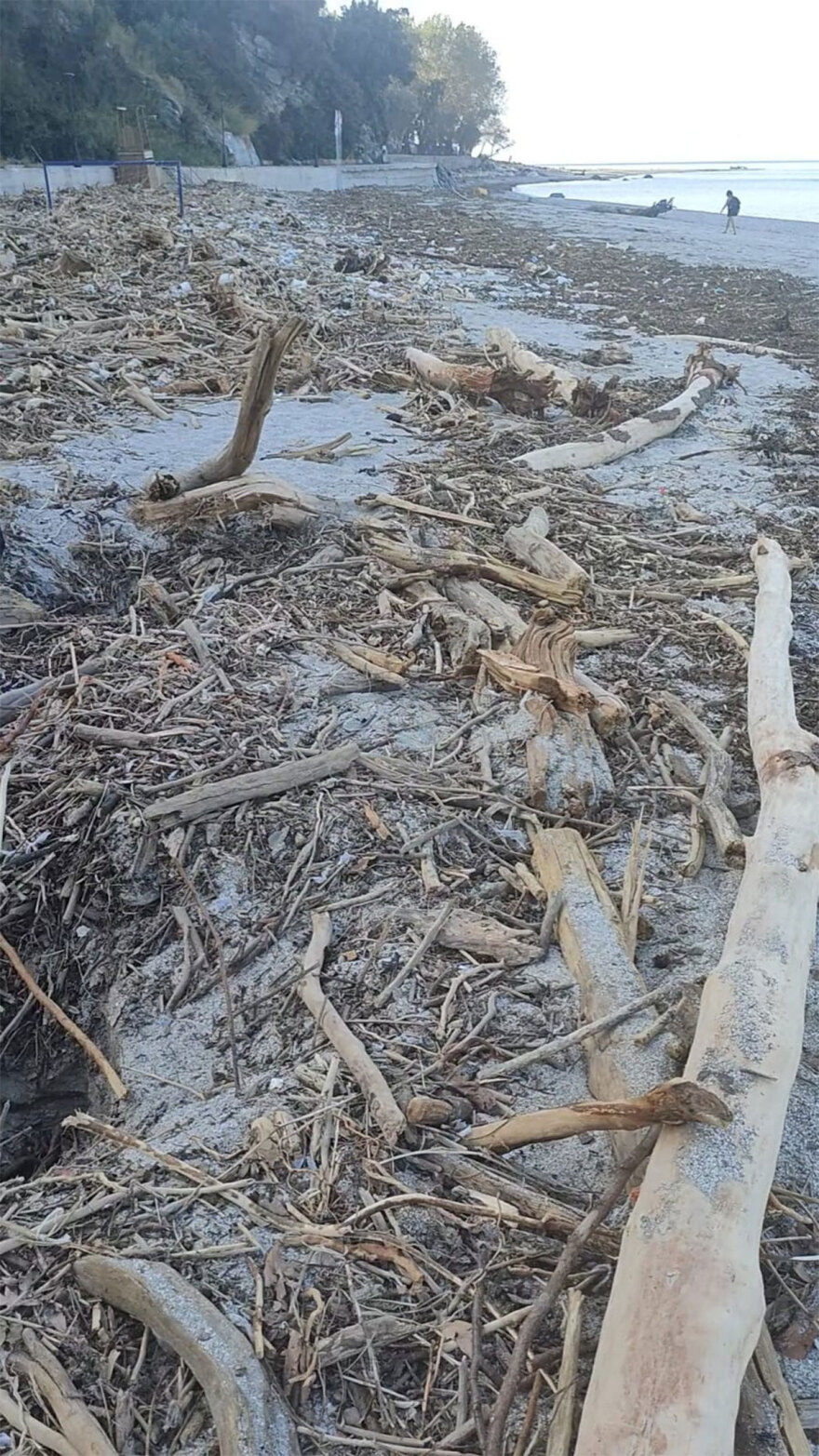 Typhoon Project: Ο «Τυφώνας» που καθάρισε τις ακτές του Πηλίου μετά το πέρασμα της κακοκαιρίας Daniel