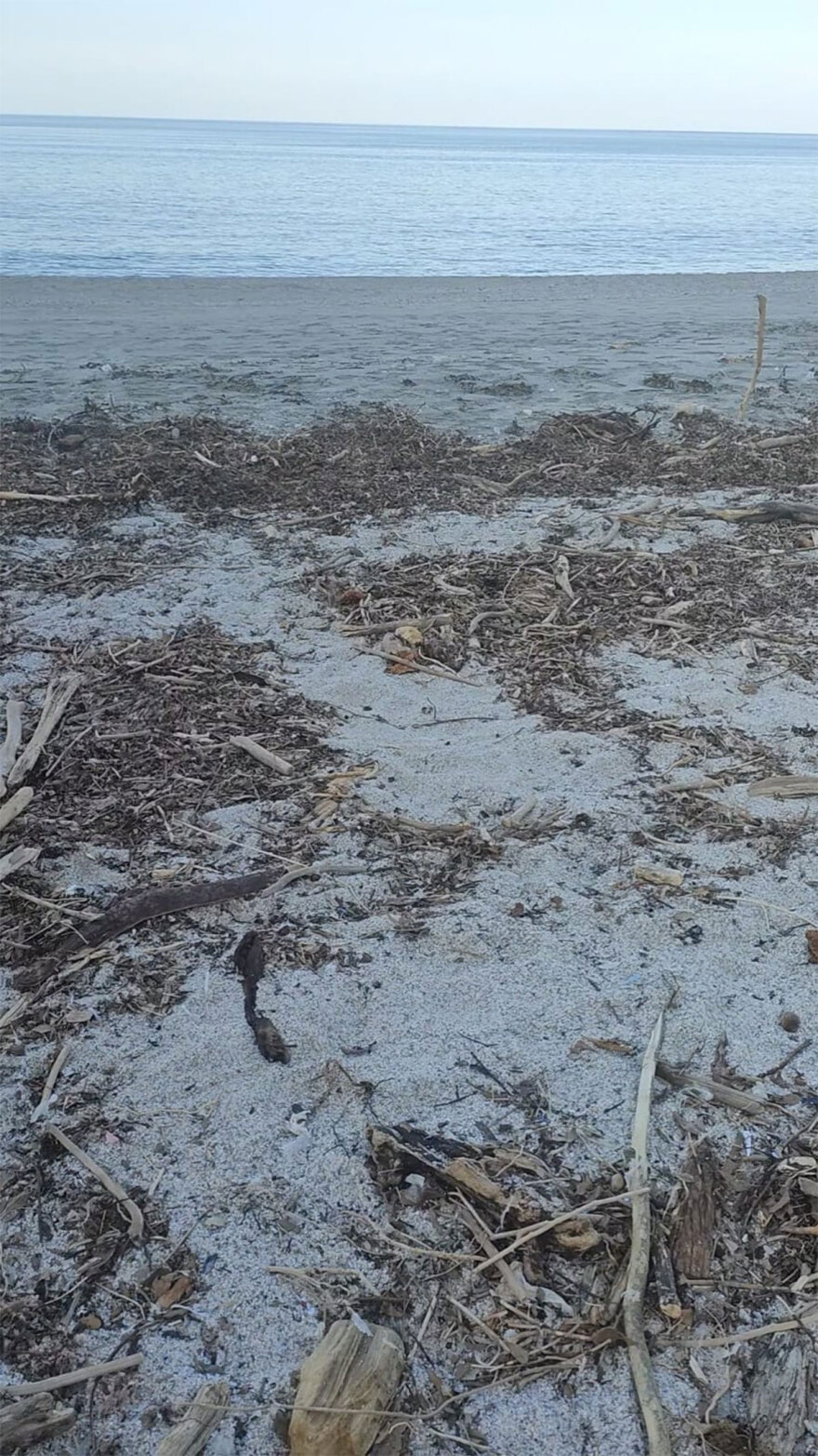 Typhoon Project: Ο «Τυφώνας» που καθάρισε τις ακτές του Πηλίου μετά το πέρασμα της κακοκαιρίας Daniel