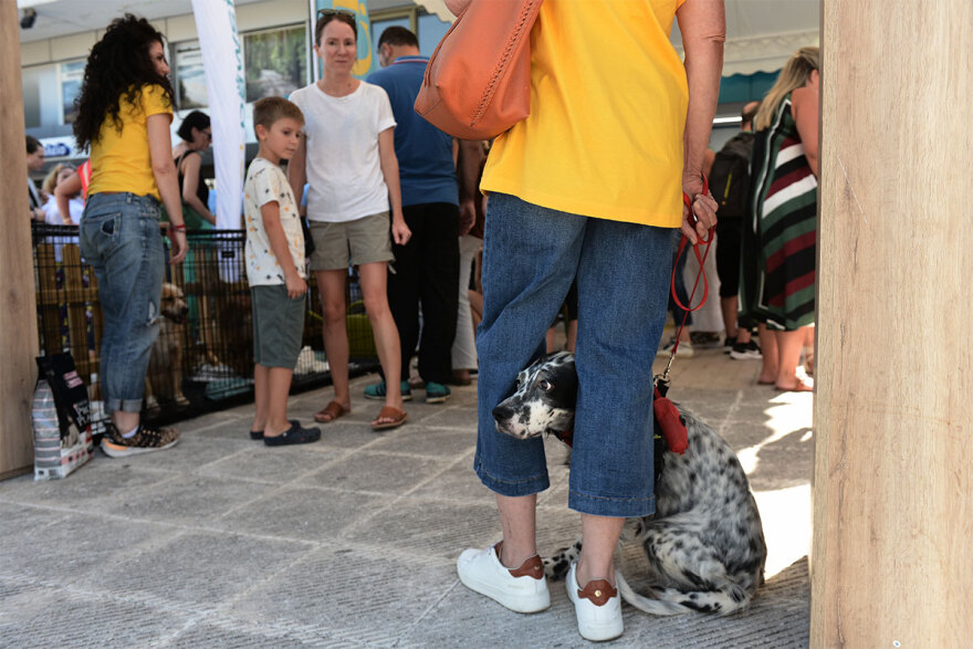 Ο Νίκος Χαρδαλιάς στην 11η Ημέρα Υιοθεσίας του Pet City - Topetmou.gr στηρίζει την προσπάθεια να βρεθεί σπίτι για κάθε αδέσποτο