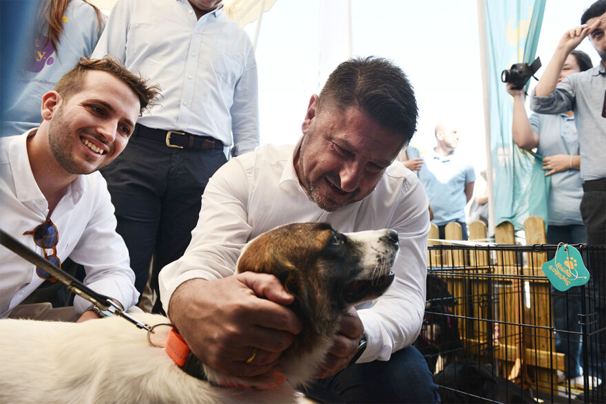 Ο Νίκος Χαρδαλιάς στην 11η Ημέρα Υιοθεσίας του Pet City - Topetmou.gr στηρίζει την προσπάθεια να βρεθεί σπίτι για κάθε αδέσποτο
