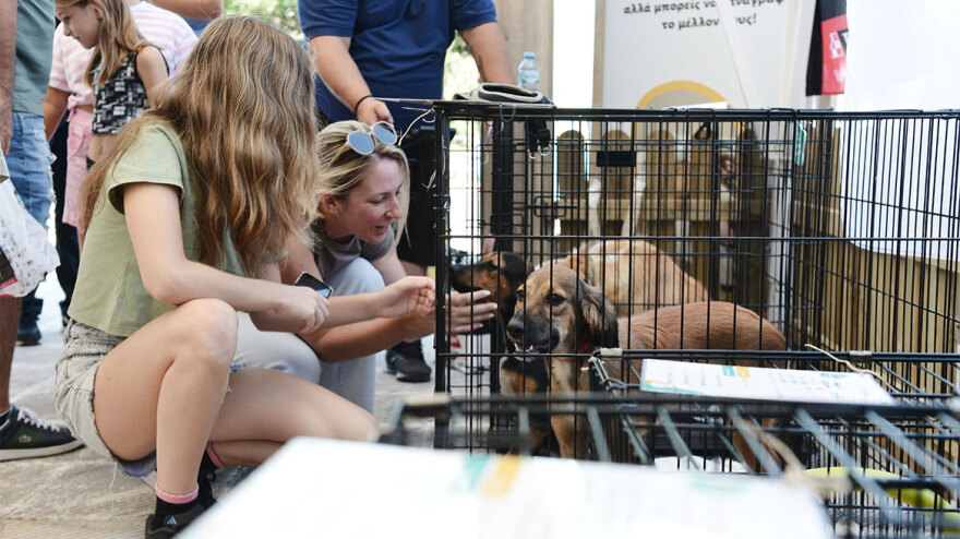 Ο Νίκος Χαρδαλιάς στην 11η Ημέρα Υιοθεσίας του Pet City - Topetmou.gr στηρίζει την προσπάθεια να βρεθεί σπίτι για κάθε αδέσποτο