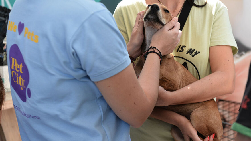 Ο Νίκος Χαρδαλιάς στην 11η Ημέρα Υιοθεσίας του Pet City - Topetmou.gr στηρίζει την προσπάθεια να βρεθεί σπίτι για κάθε αδέσποτο