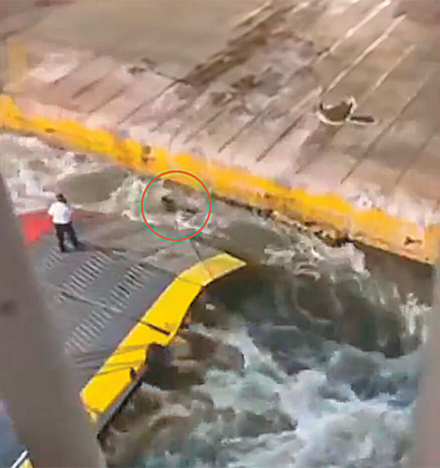 Οι καταθέσεις για το έγκλημα στο Blue Horizon: «Γύρισε την πλάτη σαν να έπεσε ένα χαρτί στη θάλασσα...»